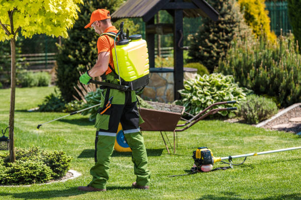 Professional Pest Control in Lake Carmel, NY